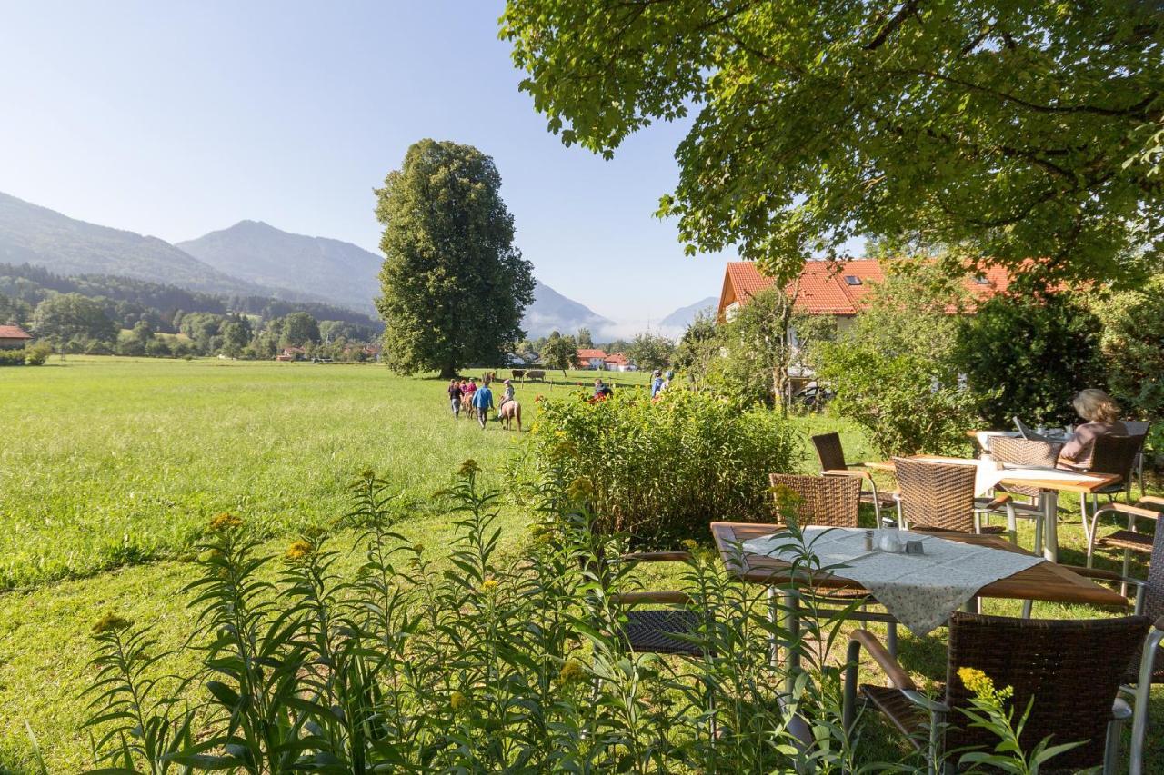 Landhotel Die Waldschaenke コッヘル エクステリア 写真
